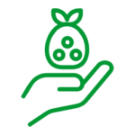 الصدقات والنذر